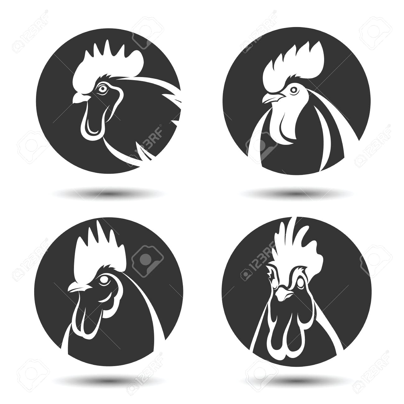 1300x1300 60099077 Labels And Symbol Set Of Chicken Head Vector Illustration
