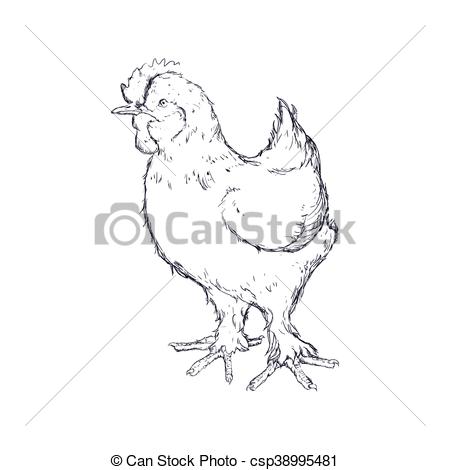 450x470 Chicken Sketch Animal Farm Icon. Vector Graphic. Chicken Sketch