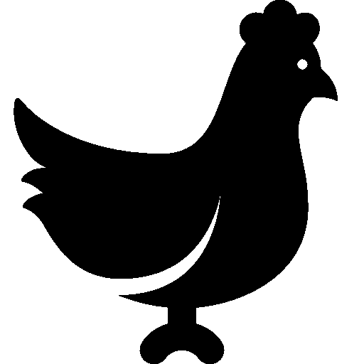 512x512 Vector Chicken Png