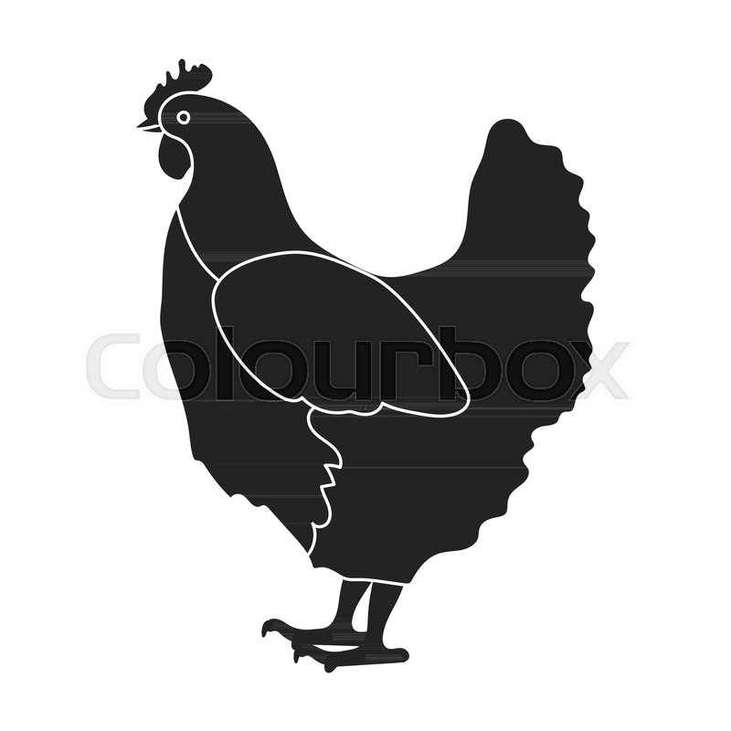 800x800 Chicken Icon In Black Style Isolated On White Background. Bird