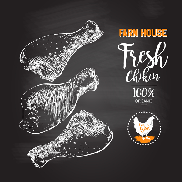 600x600 Fresh Chicken Legs Meat Poster Vector Template 04 Free Download