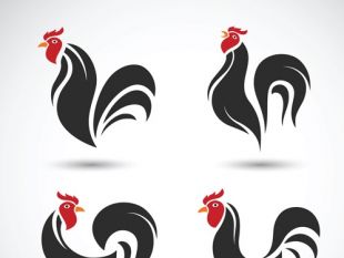 310x233 3d Vector Chicken Logo Design Free Vectors Ui Download