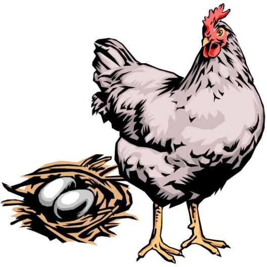 528x528 Hen Vector Free Vector In Coreldraw Cdr ( .cdr ) Vector