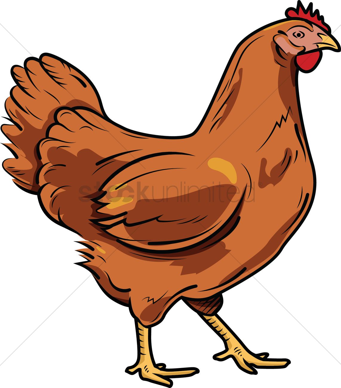 1142x1300 Chicken Vector Image