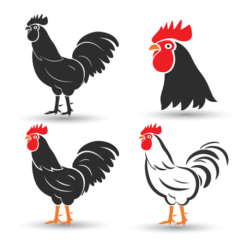500x500 Creative Chicken Logos Vector Design 04 Free Download
