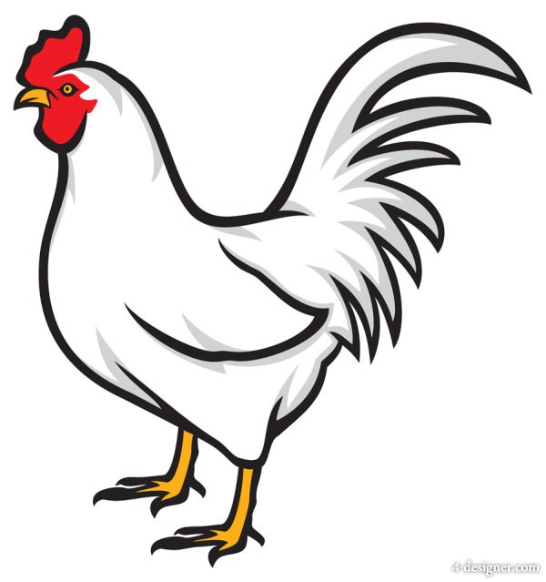 600x639 Chicken Vector 13 An Images Hub