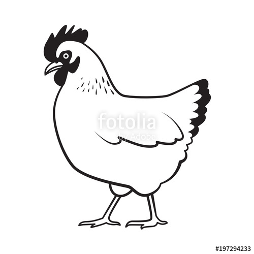 500x500 Graphic Chicken, Vector Stock Image And Royalty Free Vector Files