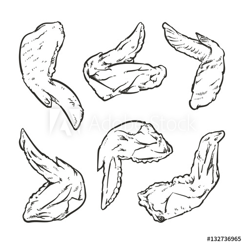 500x500 Vector Illustration Of A Chicken Wing Drawing On A White Backgro