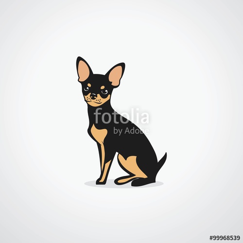 500x500 Chihuahua Dog Stock Image And Royalty Free Vector Files On