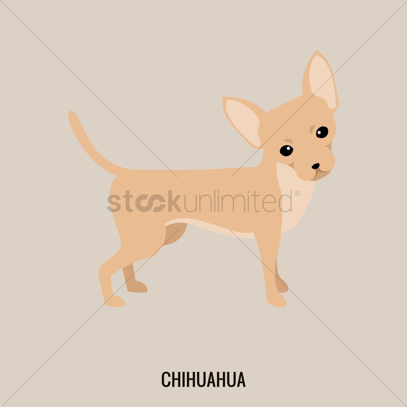 1300x1300 Chihuahua Vector Image