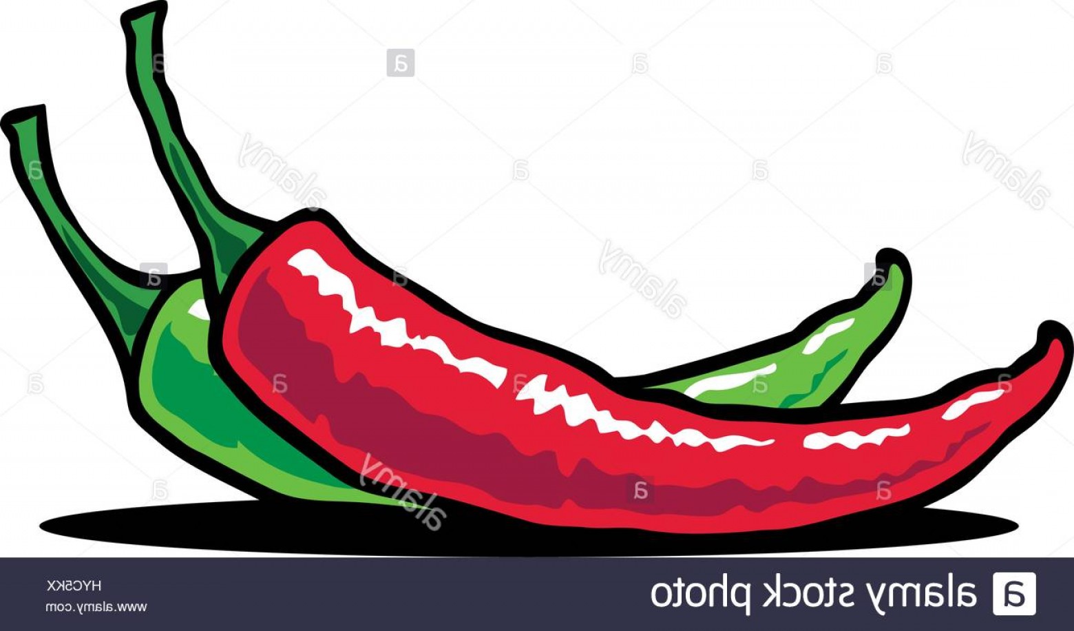 1560x916 Stock Photo Hot Chili Vector Illustration Of A Chili Pepper In