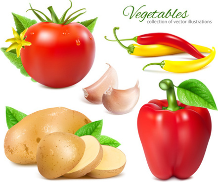441x368 Tomatoes Chili With Garlic And Potato Vector Png Images