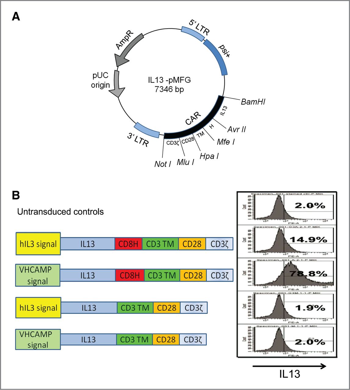 1148x1280 Suppression Of Human Glioma Xenografts With Second Generation