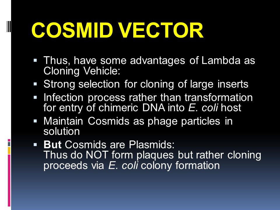960x720 Types Of Cloning Vectors