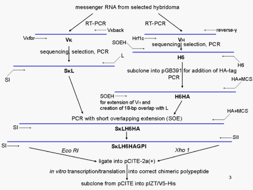 500x376 Vector Harbouring