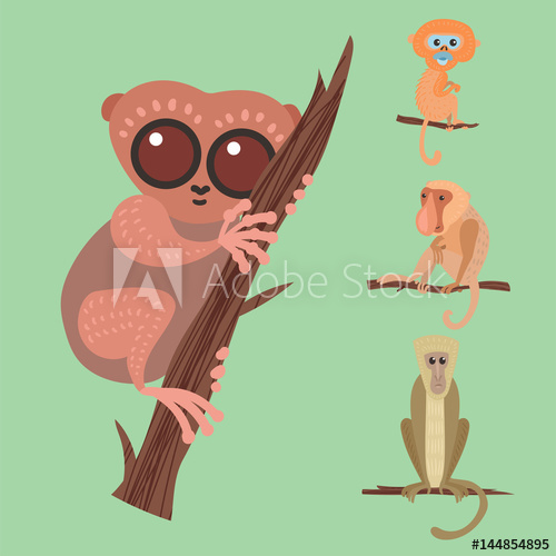 500x500 Different Breads Monkey Character Animal Wild Zoo Ape Chimpanzee