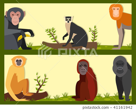 450x363 Monkey Character Animal Different Breads Wild Zoo Ape Chimpanzee
