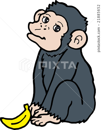 350x450 Chimp, Chimpanzee, Vector
