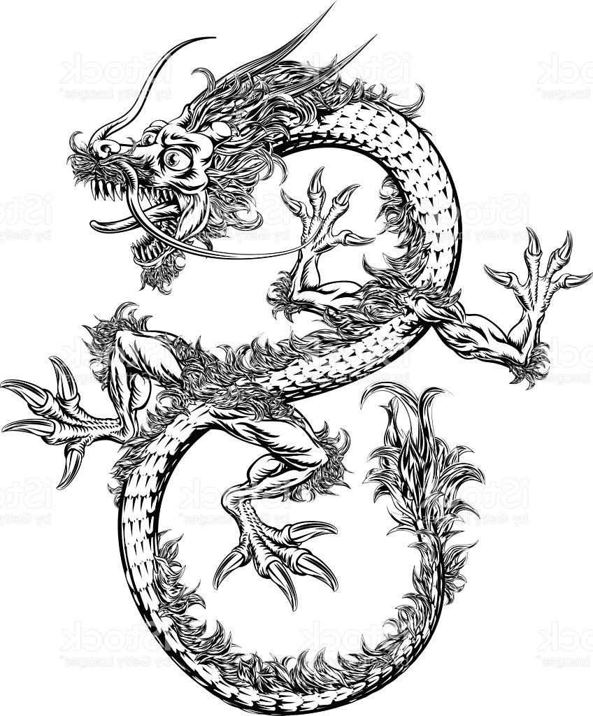 848x1024 Best Chinese Or Japanese Oriental Dragon Vector Design