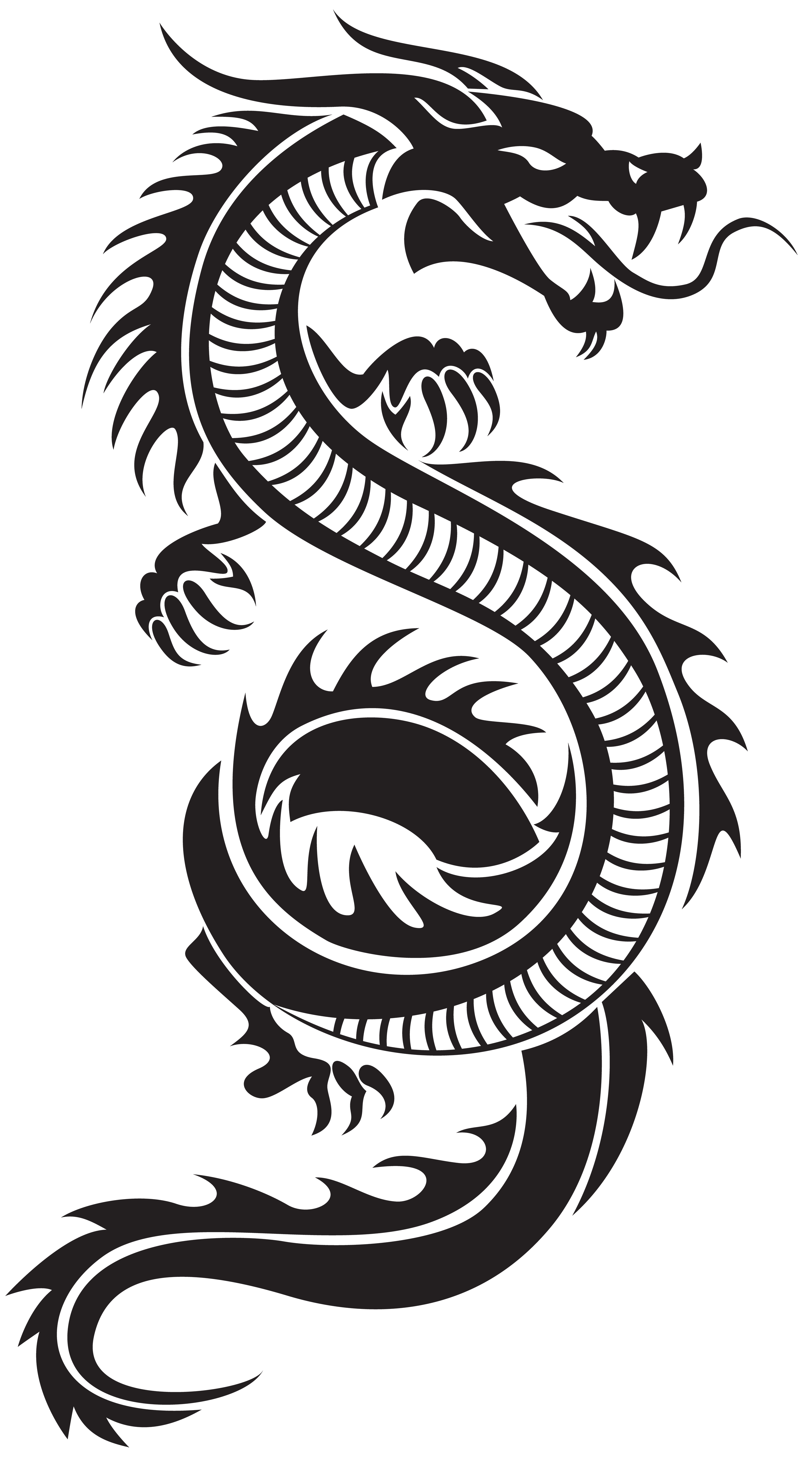 3308x6000 Phoenix Vector