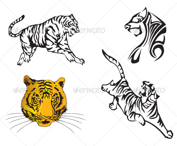 590x488 Tiger Vector Set By Kiclik76 Graphicriver