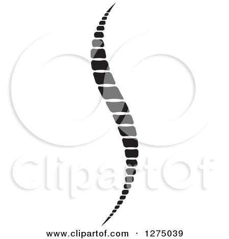 450x470 Back Spine Clipart