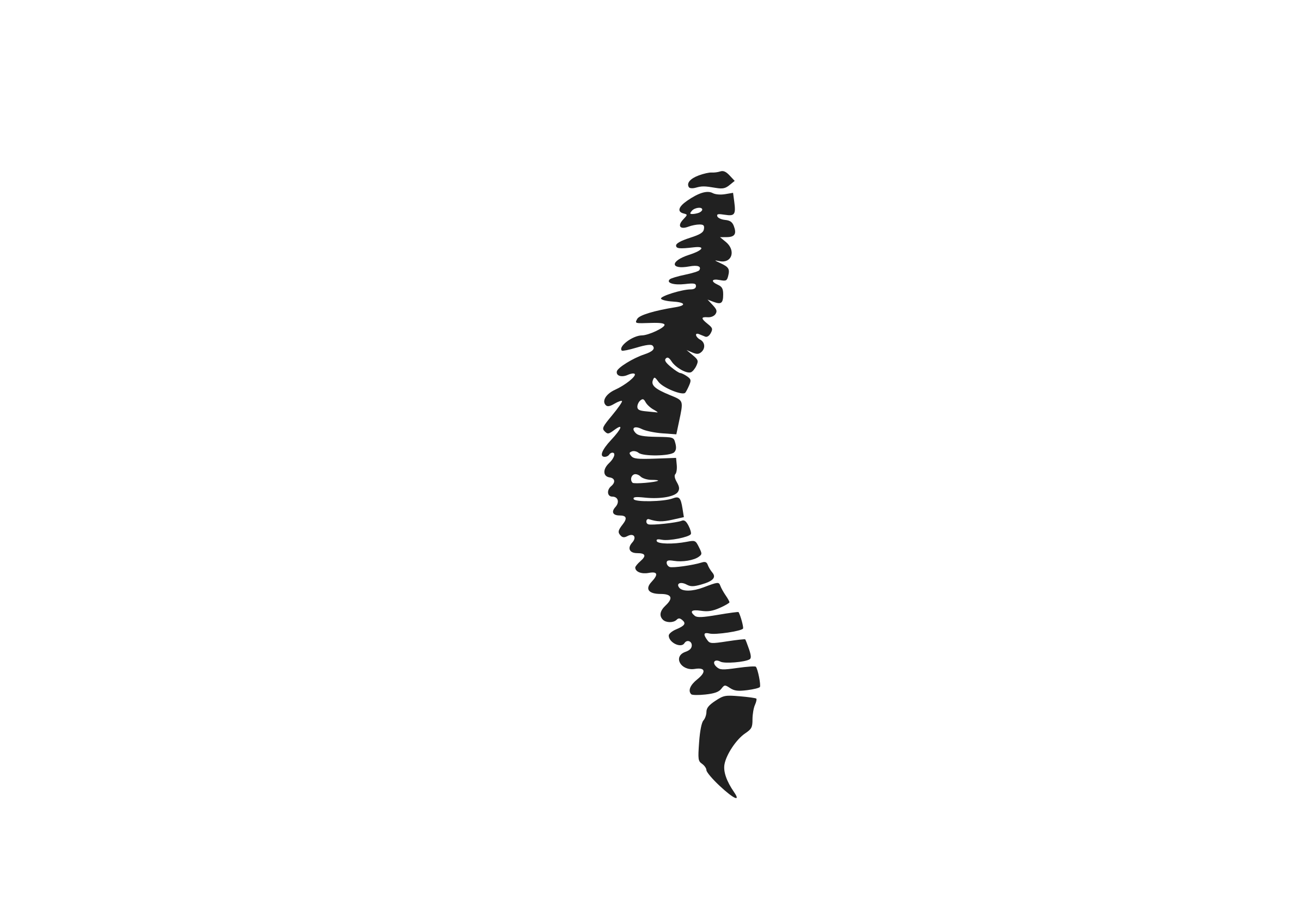 2400x1697 Collection Of Free Spine Vector Chiropractic. Download On Ubisafe