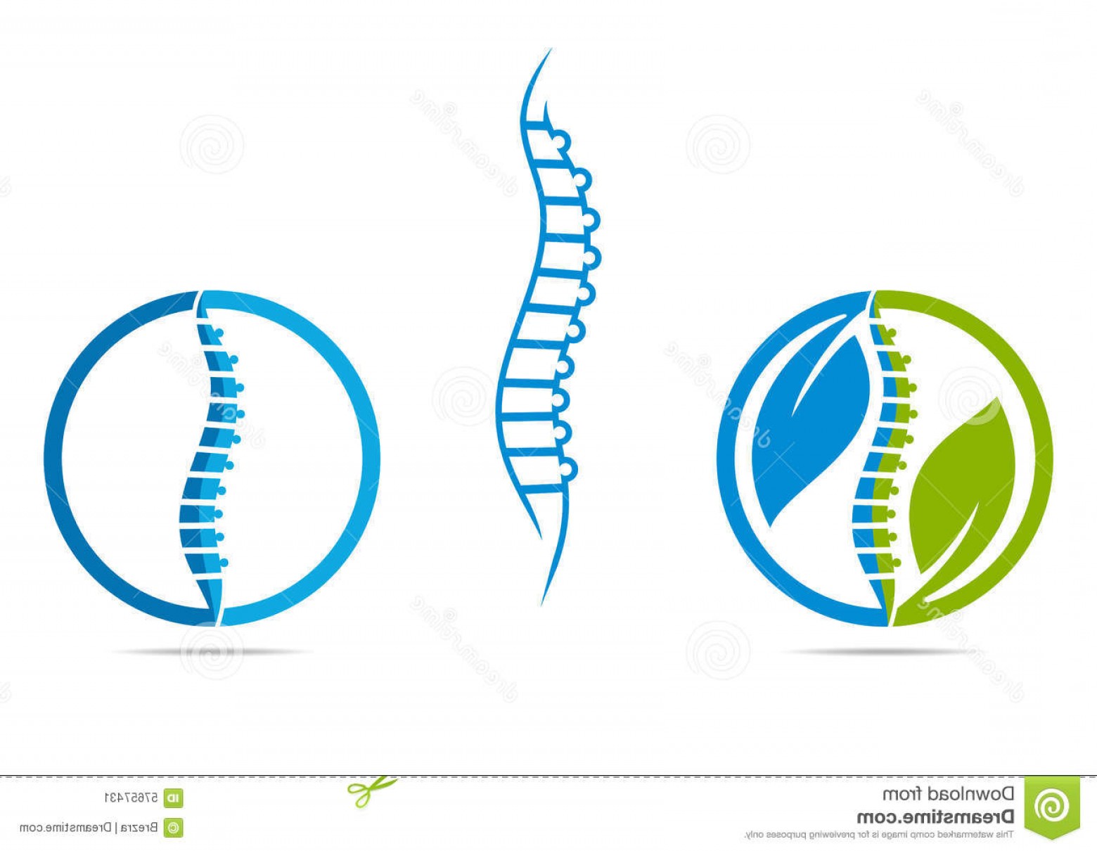 1560x1210 Stock Illustration Spine Logo Abstract Human Vector Design Healthy
