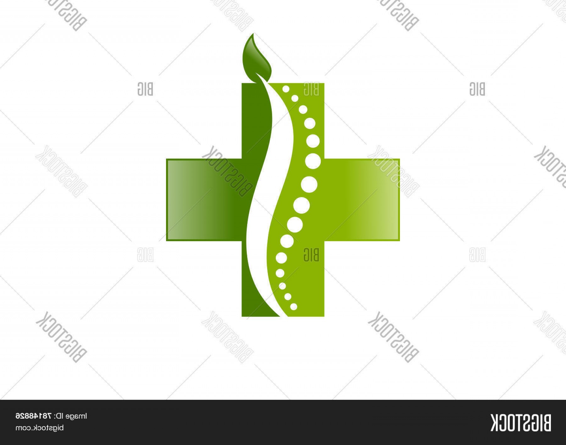 1800x1417 Stock Vector Leaf Cross Medical Chiropractic Vector Logo Design