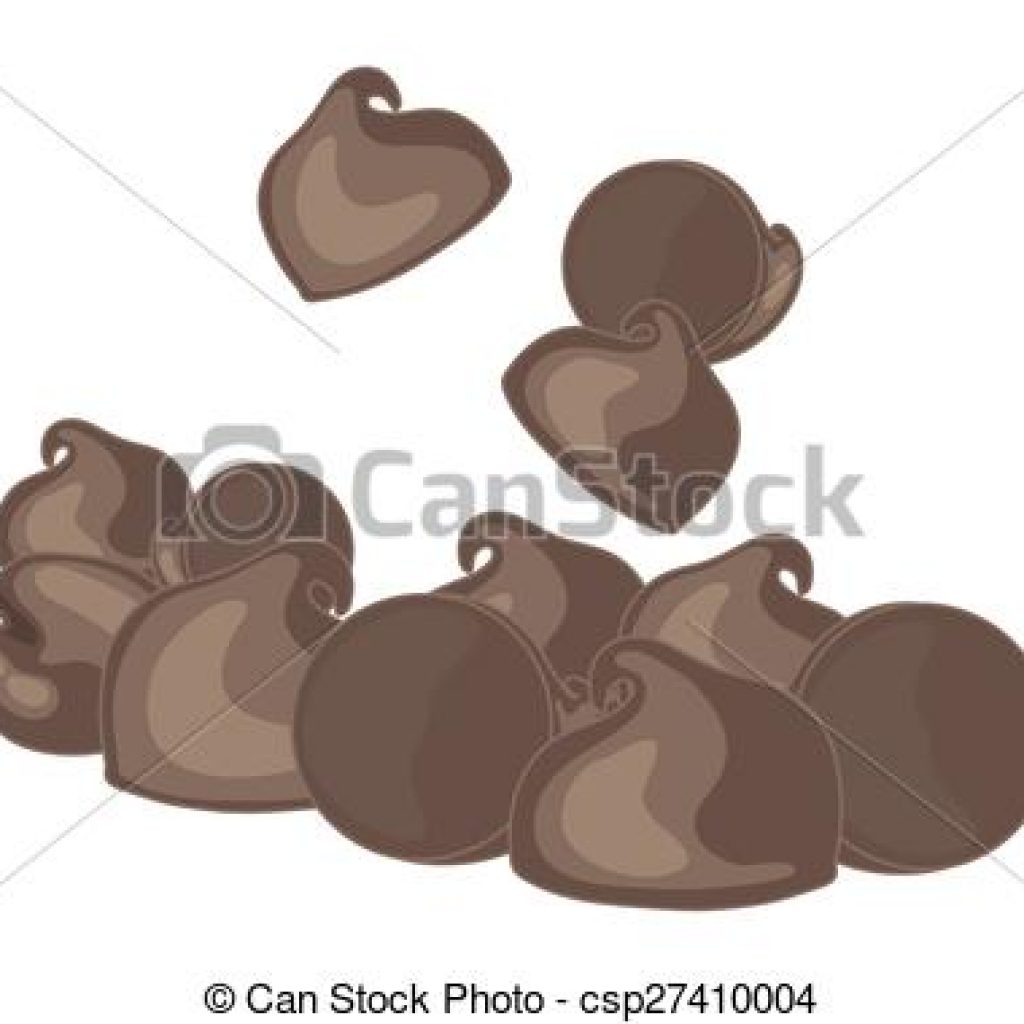 1024x1024 Chocolate Chip Clipart Choc Vector Illustrations 67 Clip Art For