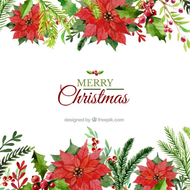 626x626 Free Christmas Flowers Download