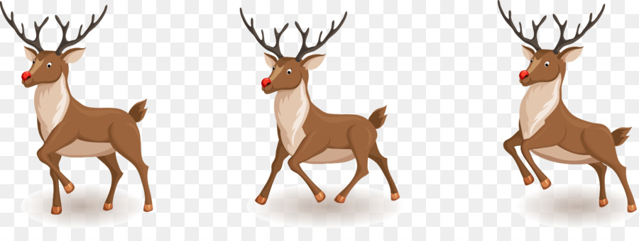 900x340 Rudolph Santa Claus Reindeer Christmas