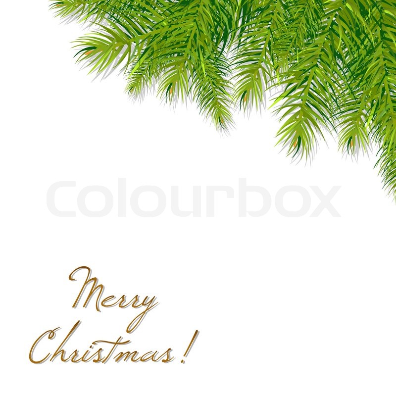 800x800 Christmas Tree Branch, Vector Illustration Stock Vector Colourbox