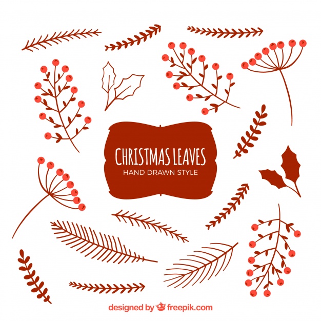 626x626 Colorful Pack Of Christmas Leaves Vector Free Download