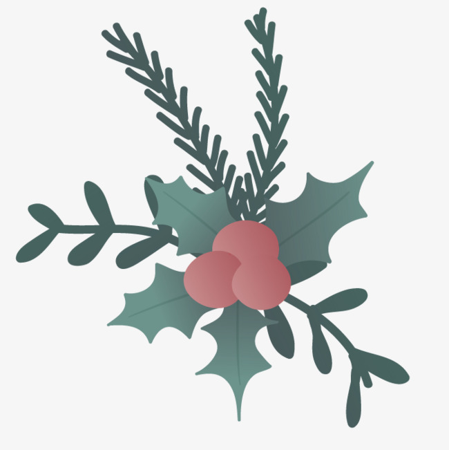 650x651 Vector Pine Leaves, Plant, Christmas Leaves, Hand Painted Png And