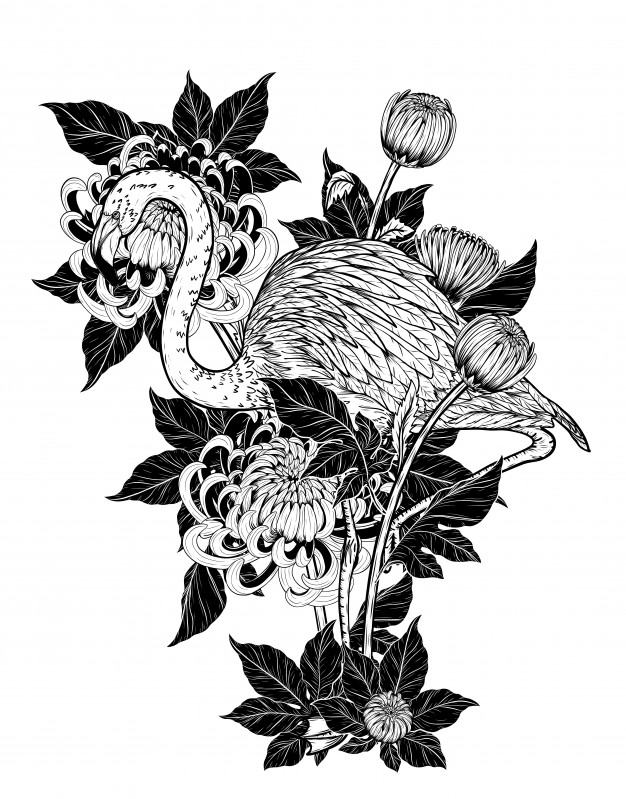 626x799 Flamingo With Chrysanthemum Vector By Hand Drawing Vector