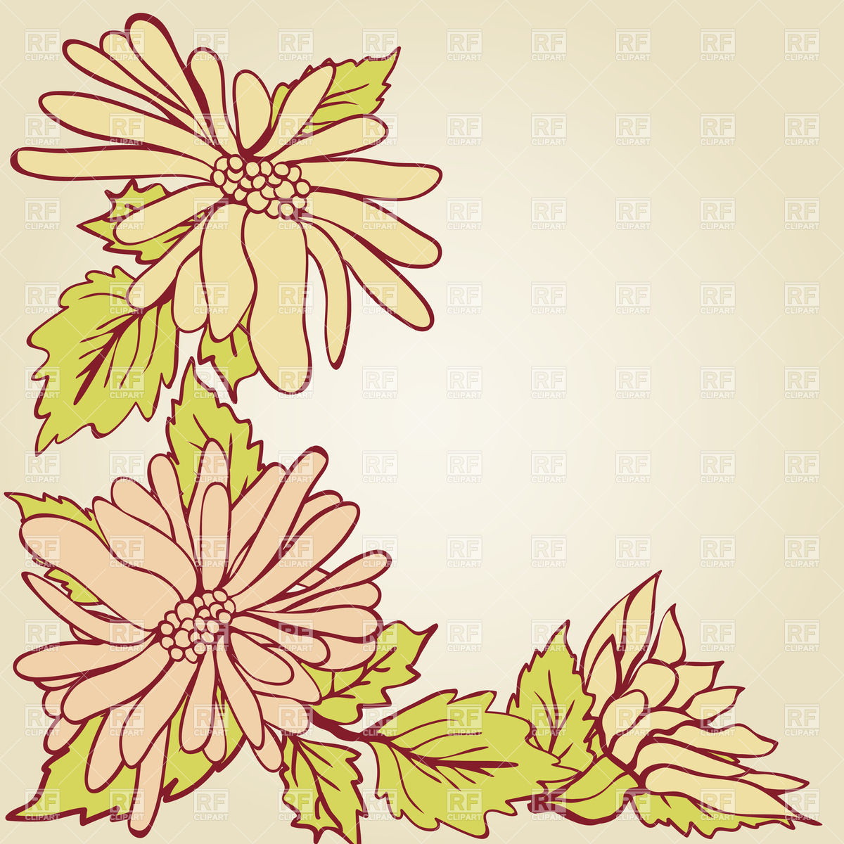 1200x1200 Floral Corner With Stylish Chrysanthemum Vector Image Vector