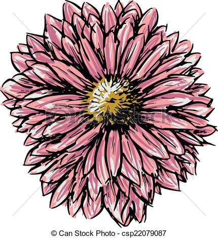 430x470 Hand Drawn, Sketch Illustration Of Chrysanthemum.