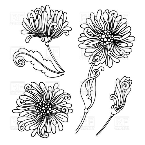 500x500 Outlines Of Buds Of A Chrysanthemum Vector Image Vector Artwork