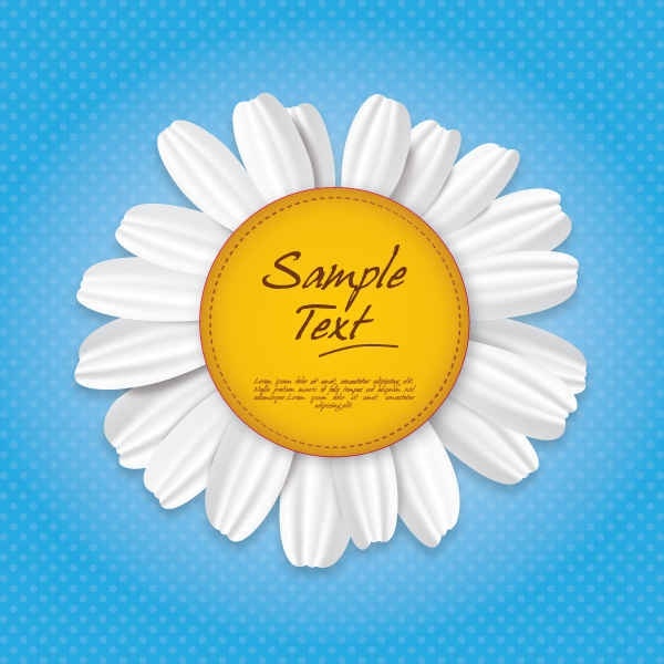 600x600 White Chrysanthemum Vector Graphics Free Vector In Encapsulated