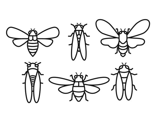 624x490 Cicada Vector Set