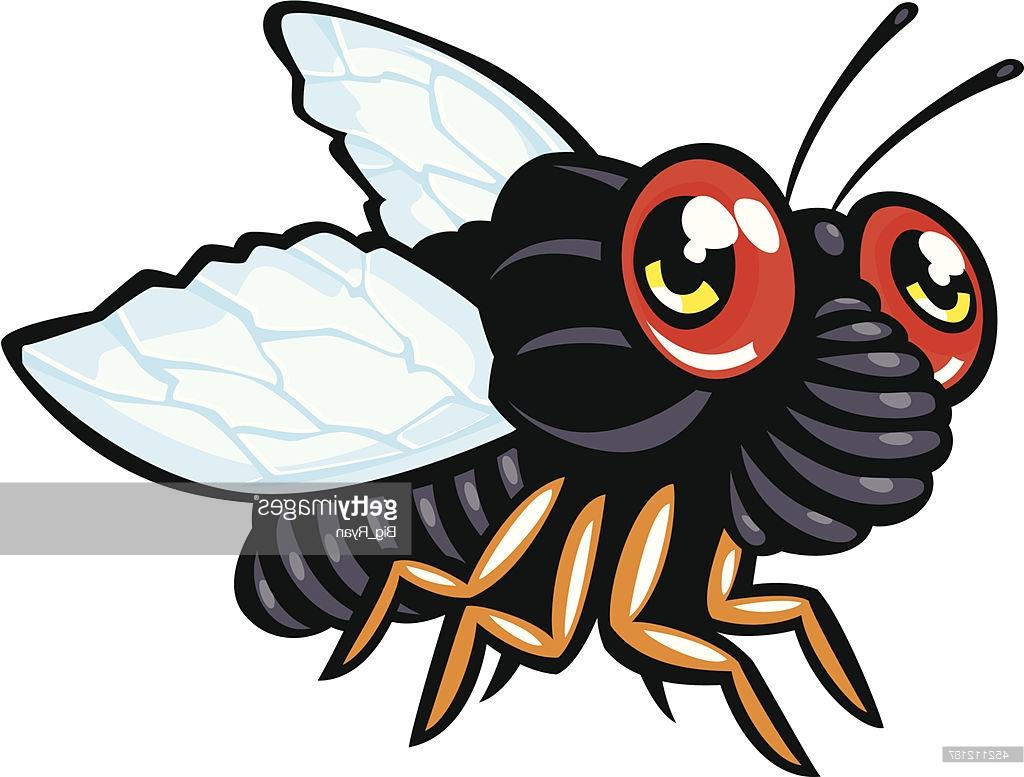 1024x777 Top Cartoon Cicada Vector File Free