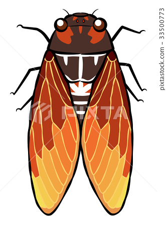 331x450 Cicada, Vector, Vectors