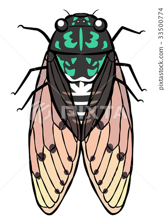 331x450 Cicada, Vector, Vectors