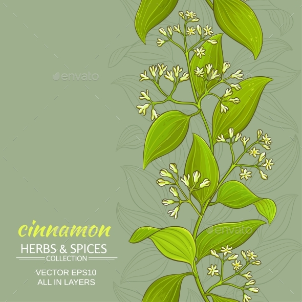 590x590 Cinnamon Vector Background By Cuttlefish84 Graphicriver