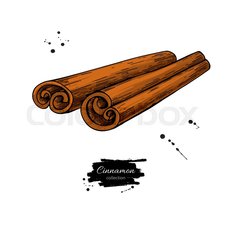 800x800 Cinnamon Stick Vector Drawing. Hand Drawn Sketch. Seasonal Food