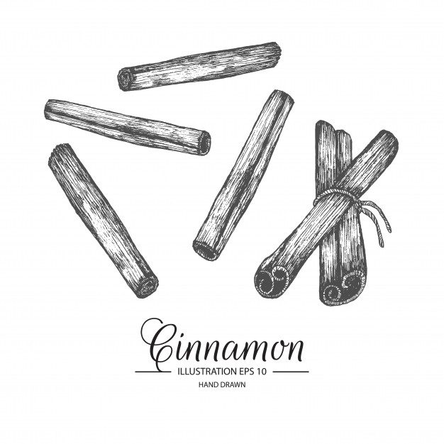 626x626 Set Of Cinnamon Vector Premium Download