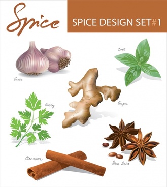 329x368 Vector Cinnamon Spices Free Vector Download (66 Free Vector) For