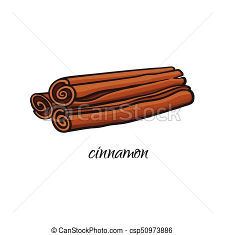 450x470 Vector Flat Sketch Cinnamon Sticks Isolated. Vector Flat Cartoon