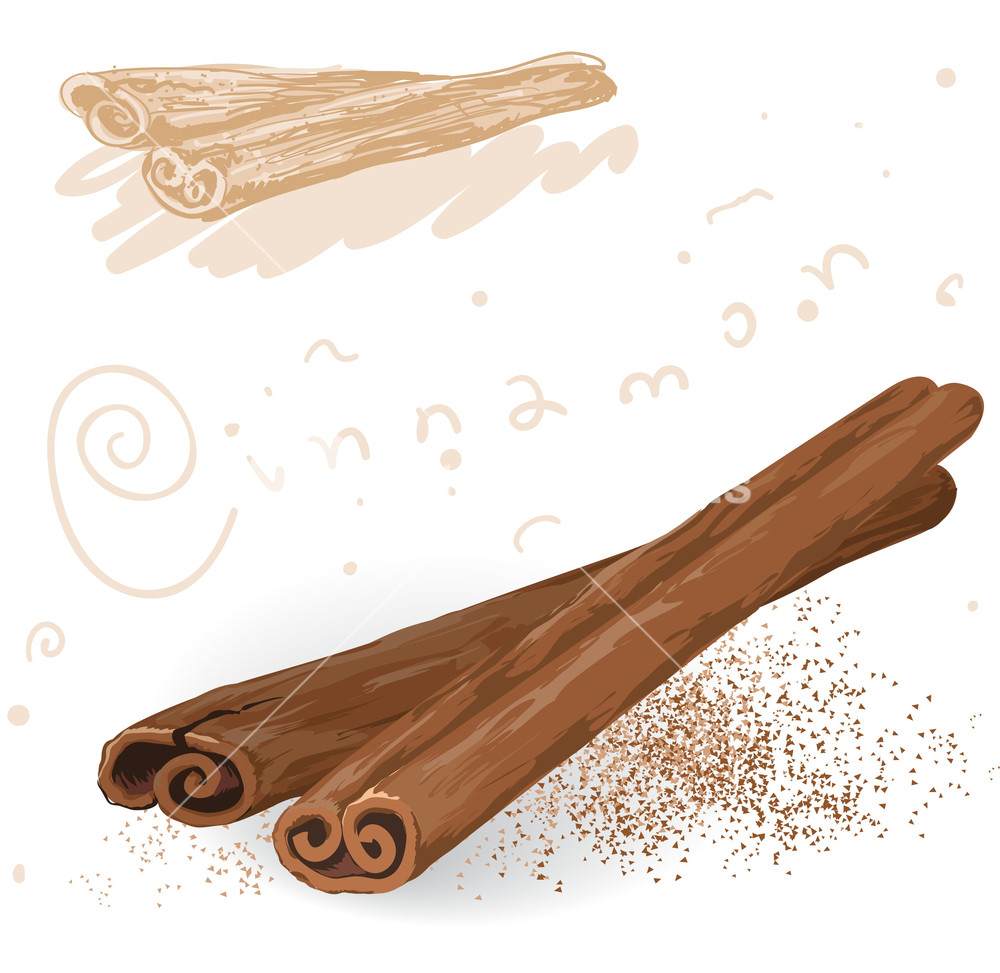 1000x973 Word Spices. Cinnamon. Vector. Royalty Free Stock Image